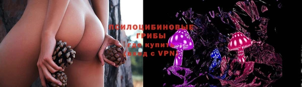 твердый Белоозёрский