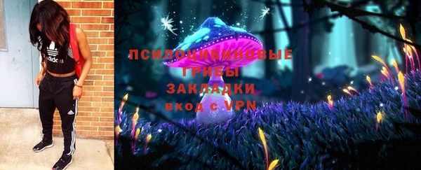 стаф Балахна