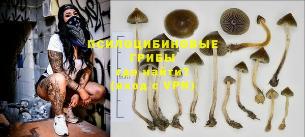 мяу мяу мука Беломорск