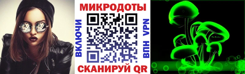 купить закладку  Макушино  Псилоцибиновые грибы Psilocybine cubensis 